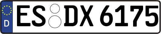 ES-DX6175