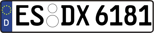 ES-DX6181