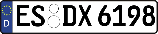 ES-DX6198