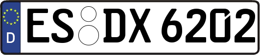 ES-DX6202