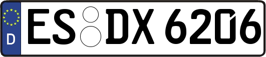 ES-DX6206