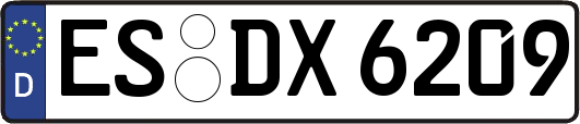 ES-DX6209