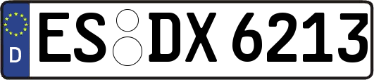 ES-DX6213
