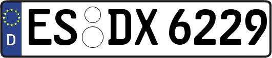 ES-DX6229