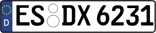 ES-DX6231