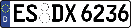 ES-DX6236