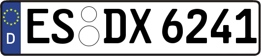 ES-DX6241