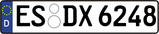 ES-DX6248