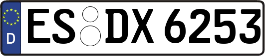 ES-DX6253