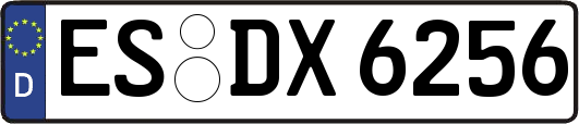 ES-DX6256