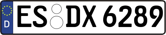 ES-DX6289