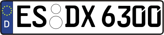ES-DX6300