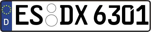 ES-DX6301