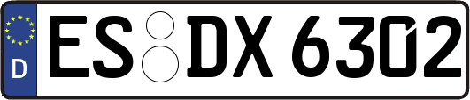 ES-DX6302