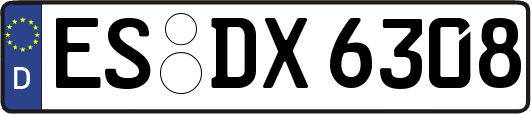 ES-DX6308