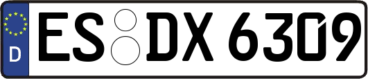 ES-DX6309