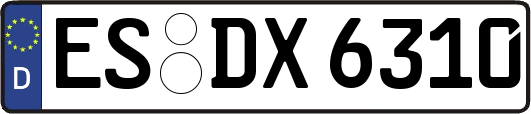 ES-DX6310