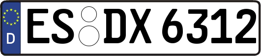 ES-DX6312