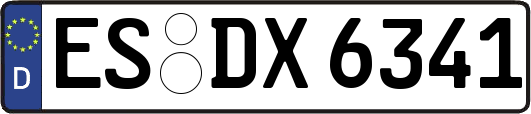 ES-DX6341