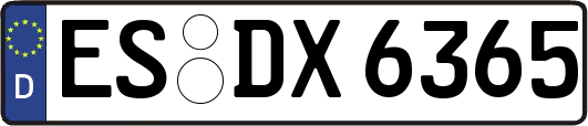 ES-DX6365