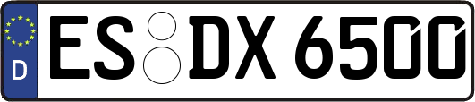 ES-DX6500