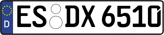 ES-DX6510
