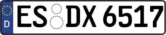 ES-DX6517