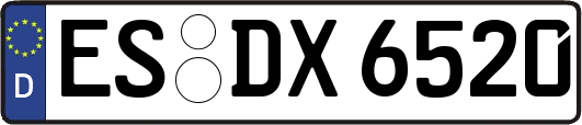 ES-DX6520