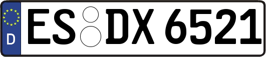 ES-DX6521