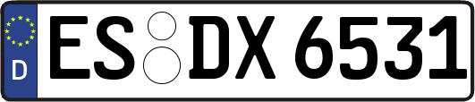 ES-DX6531