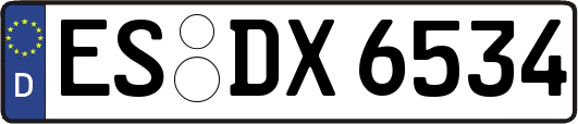 ES-DX6534