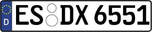 ES-DX6551