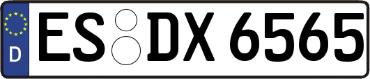 ES-DX6565