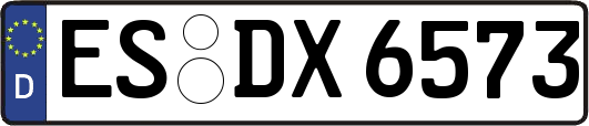 ES-DX6573