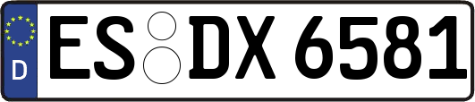 ES-DX6581