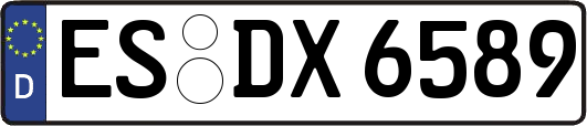 ES-DX6589