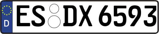 ES-DX6593