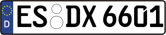 ES-DX6601