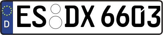 ES-DX6603