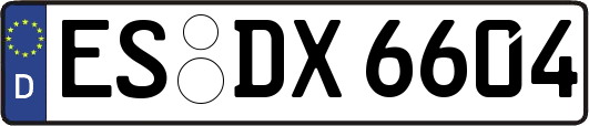 ES-DX6604