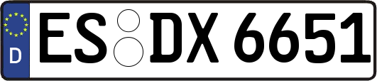 ES-DX6651
