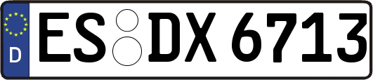 ES-DX6713