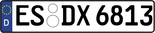 ES-DX6813