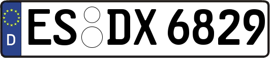 ES-DX6829