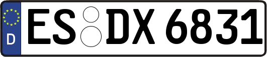 ES-DX6831