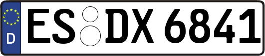 ES-DX6841