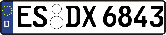 ES-DX6843