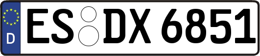 ES-DX6851