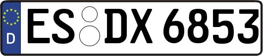ES-DX6853