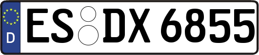 ES-DX6855